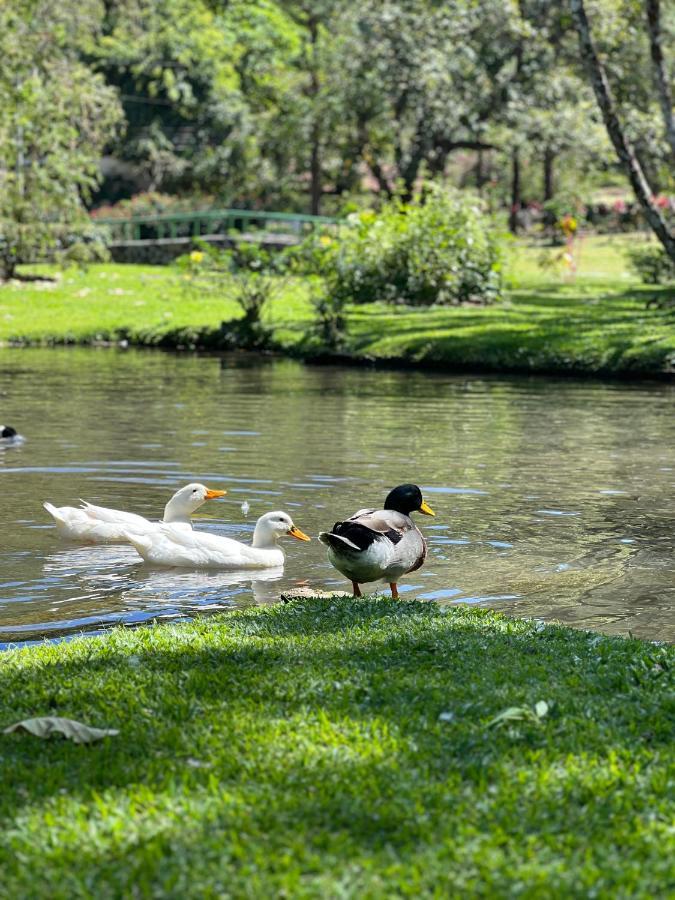 La Casa De Los Patos El Valle de Anton Kültér fotó